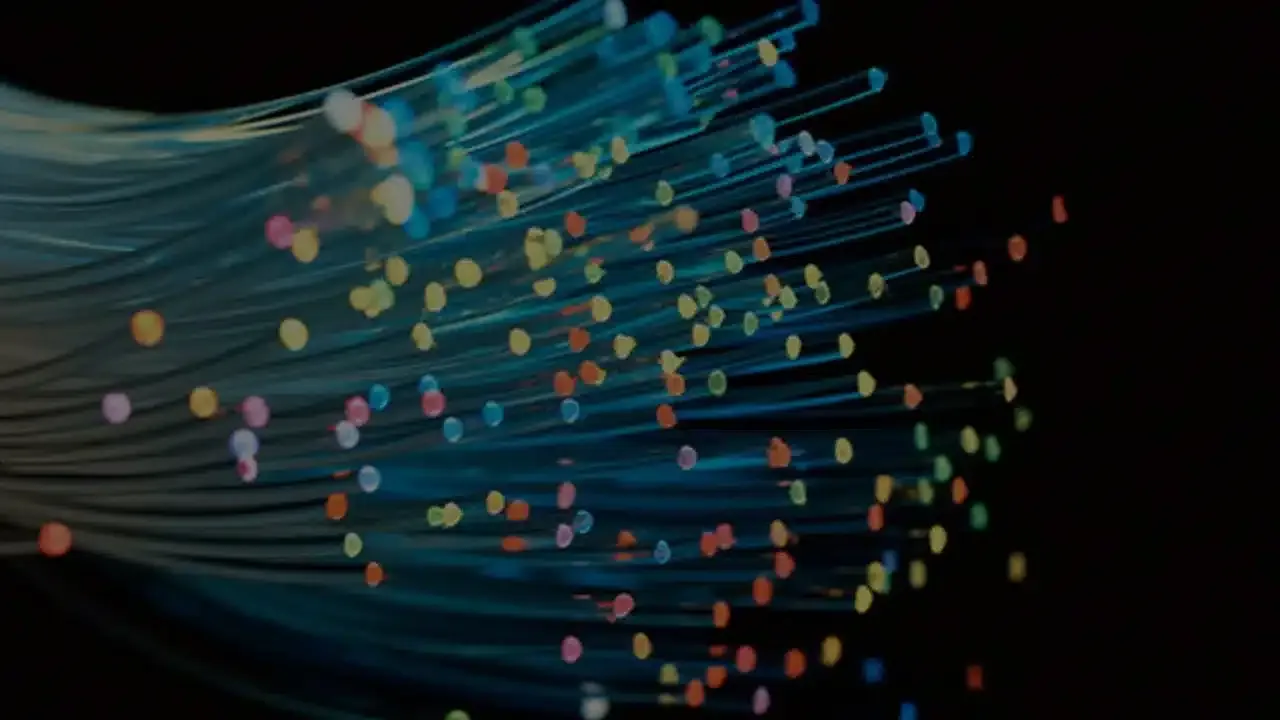 Fiber